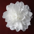 duży kwiat do przypięcia, kolor ivory